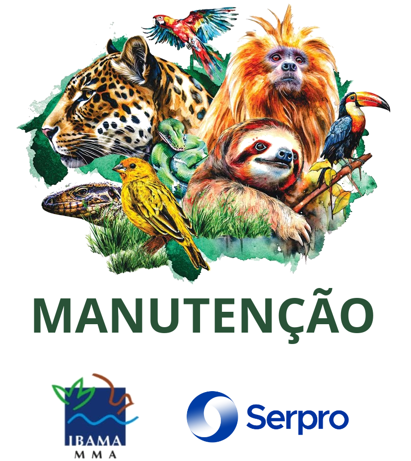 manutenção